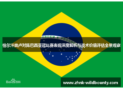 恰尔汗奥卢对阵巴西亚冠比赛表现深度解析与战术价值评估全景观察