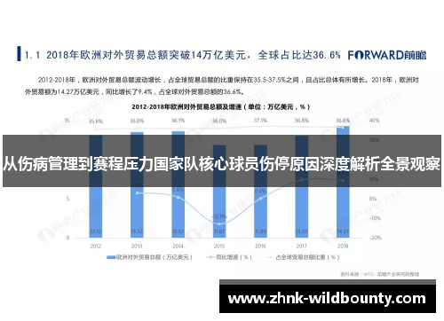 从伤病管理到赛程压力国家队核心球员伤停原因深度解析全景观察 从伤病管理到赛程压力国家队核心球员伤停原因深度解析全景观察